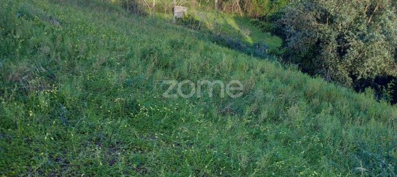 Grundstück in Luso, Portugal 1603m², Nr. 28170 12