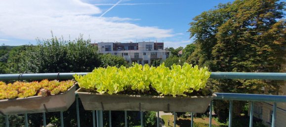 3-Zimmer Penthouse in Hietzing, Austria, Nr. 196819 17