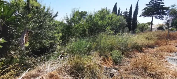  قطعة أرض في Lagoa, Portugal 297متر مربع رقم 35982 8