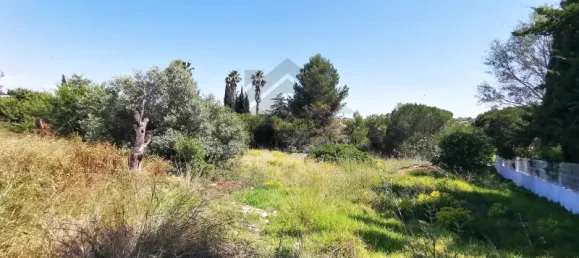  قطعة أرض في Lagoa, Portugal 297متر مربع رقم 35982 11