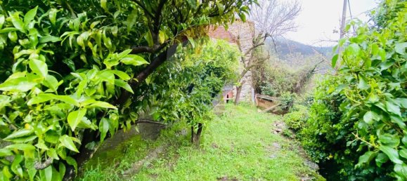 3 bedrooms House in Rapallo, Italy No. 38442 25