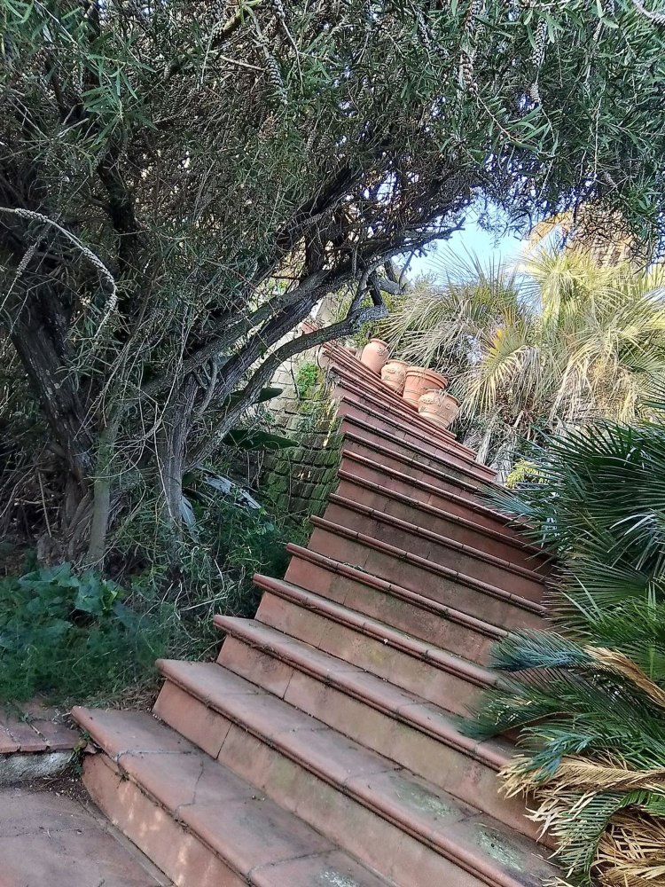 Вилла с 9 спальнями в Черветери, Италия № 256280