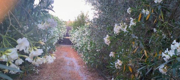 Вилла с 9 спальнями в Черветери, Италия № 256280 31