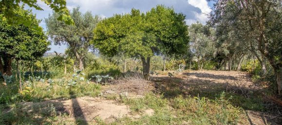 Casa de 5 dormitorios en Midoes, Portugal No. 157491 9