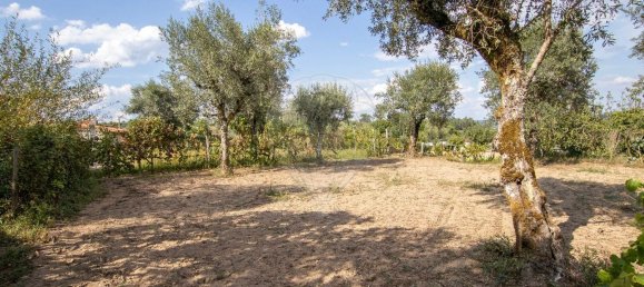 Casa de 5 dormitorios en Midoes, Portugal No. 157491 12
