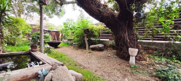 5 Schlafzimmer Haus in Granadilla de Abona, Spain, Nr. 168560 2