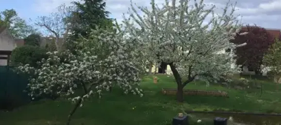 4 rooms House in Cottbus, Germany No. 30309 7