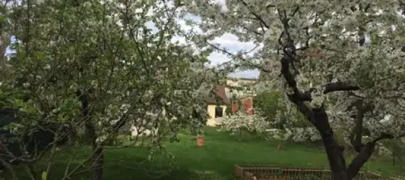 4 rooms House in Cottbus, Germany No. 30309 6