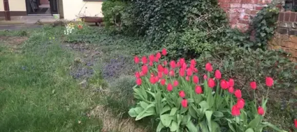 4 rooms House in Cottbus, Germany No. 30309 4