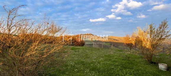 6 rooms Villa in Canossa, Italy No. 232420 4