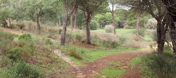  Land in Almancil, Portugal No. 125417 13