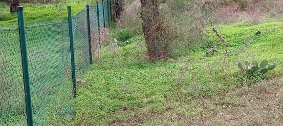  Land in Almancil, Portugal No. 125417 10