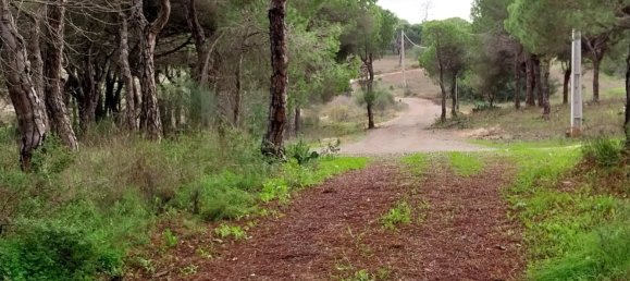  Land in Almancil, Portugal No. 125417 4