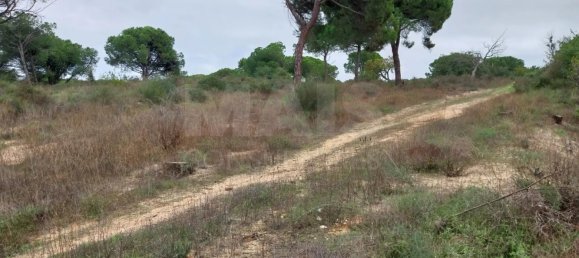  Land in Almancil, Portugal No. 125417 7