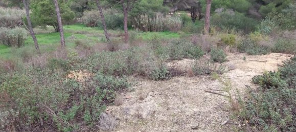  Land in Almancil, Portugal No. 125417 16