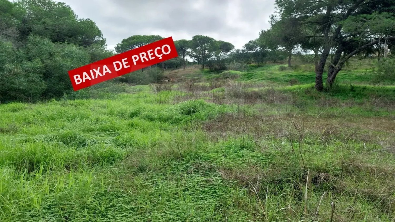  Land in Almancil, Portugal No. 125417