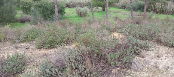  Land in Almancil, Portugal No. 125417 6