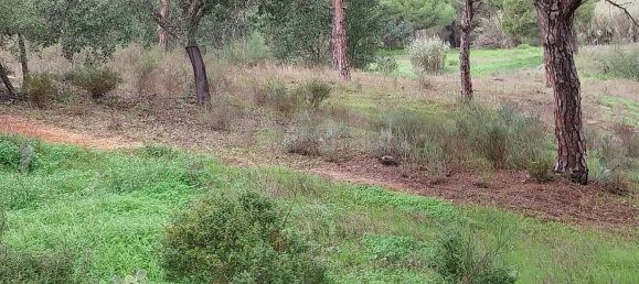  Land in Almancil, Portugal No. 125417 2