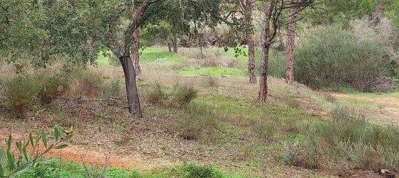  Land in Almancil, Portugal No. 125417 8