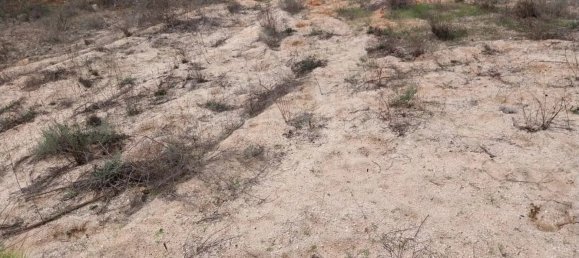  Land in Almancil, Portugal No. 125417 5