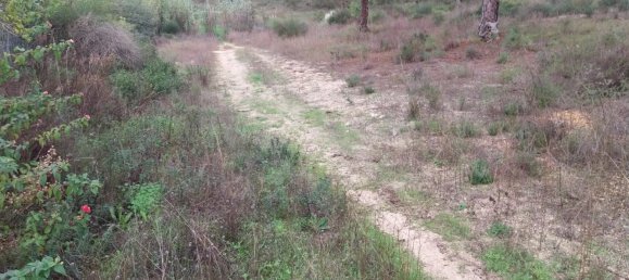  Land in Almancil, Portugal No. 125417 9