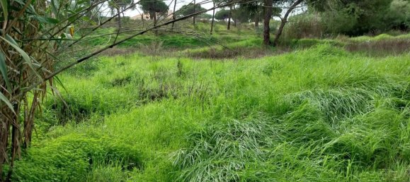  Land in Almancil, Portugal No. 125417 11