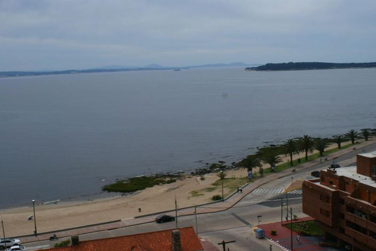 3 bedrooms Apartment in Maldonado, Uruguay No. 5885