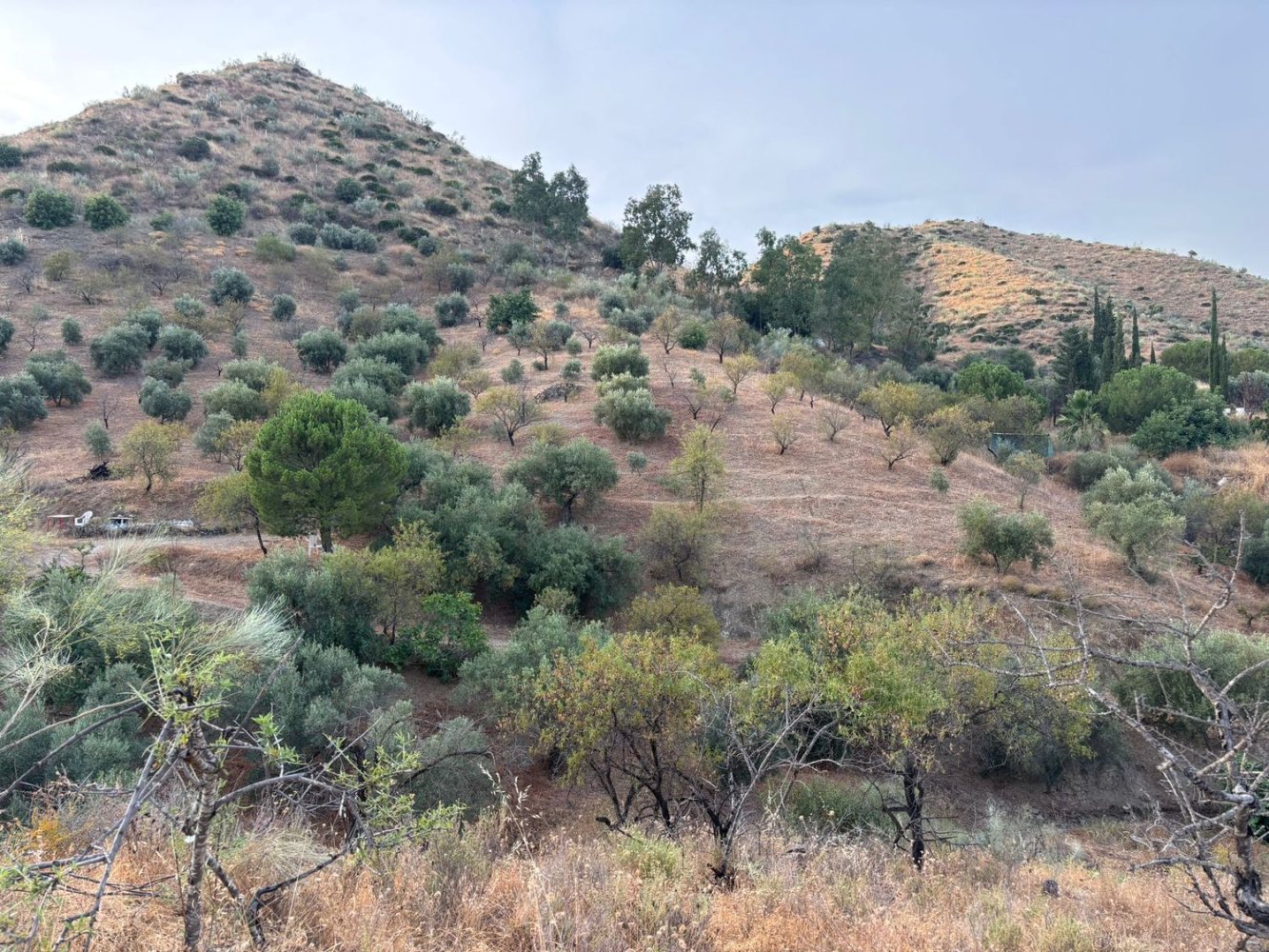 Terreno en Cártama, Spain No. 159454