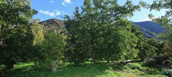 1 bedroom Commercial property in Tolox, Spain No. 85303 25