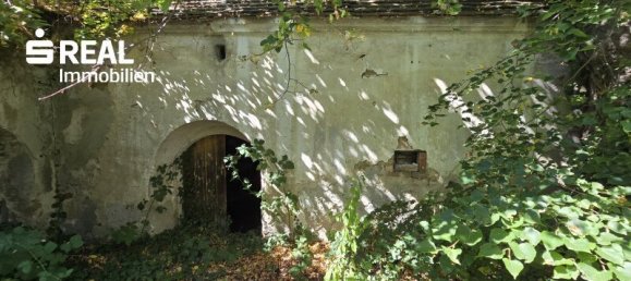 5 rooms House in Schrattenthal, Austria No. 252605 26