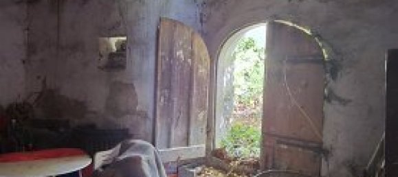 5 rooms House in Schrattenthal, Austria No. 252605 30