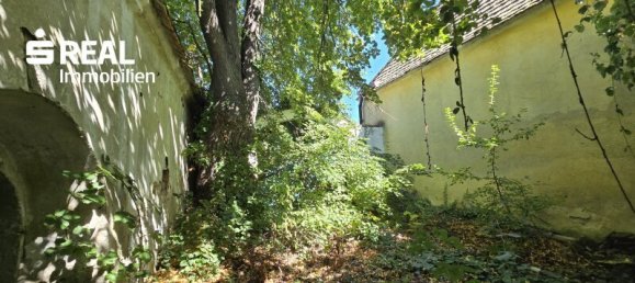 5 rooms House in Schrattenthal, Austria No. 252605 25