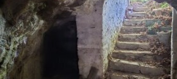 5 rooms House in Schrattenthal, Austria No. 252605 29