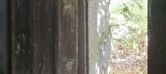 5 rooms House in Schrattenthal, Austria No. 252605 31