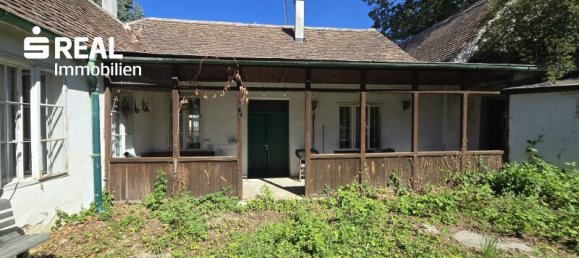 5 rooms House in Schrattenthal, Austria No. 252605 21