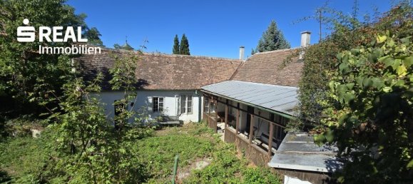 5 rooms House in Schrattenthal, Austria No. 252605 17