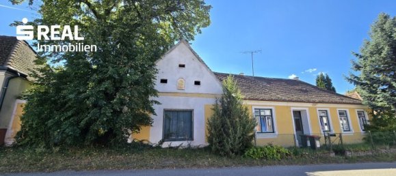 5 rooms House in Schrattenthal, Austria No. 252605 38