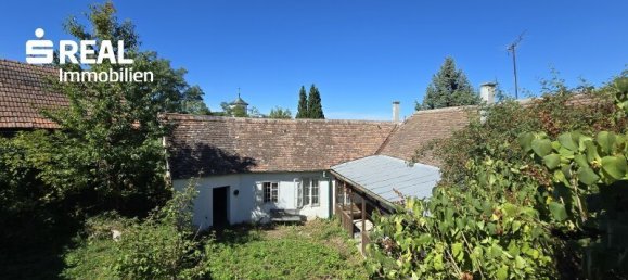 5 rooms House in Schrattenthal, Austria No. 252605 46