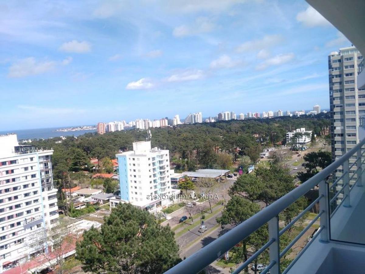 2 chambres Appartement à Punta del Este, Uruguay No. 2999