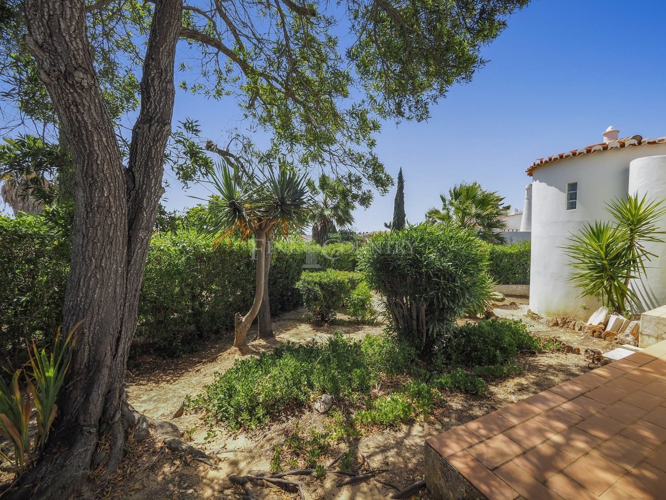 3 غرف نوم فيلا في Lagoa, Portugal رقم 314724