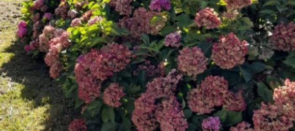 2 bedrooms Villa in Cairo Montenotte, Italy No. 351186 12