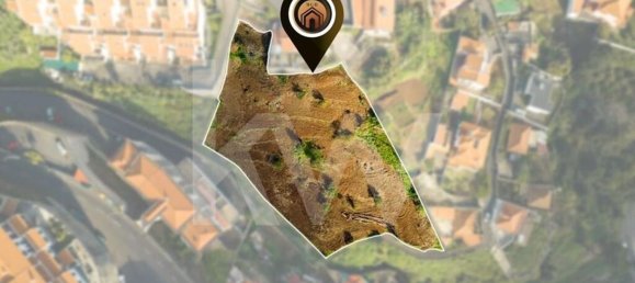 Terrain à Funchal, Portugal 4520m² No. 72285 3