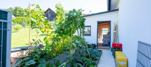 4غرفة منزل في Pinkafeld, Austria رقم 219448 22