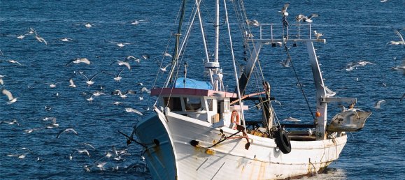 Villa in Argalasti, Greece 440m², Nr. 6147 26