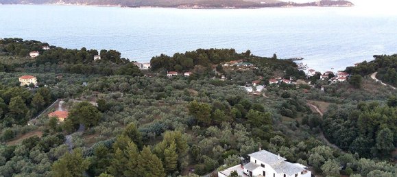 Villa in Argalasti, Greece 440m², Nr. 6147 14