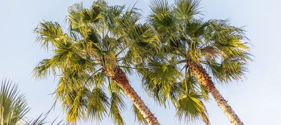 4 chambres Villa à Porches, Portugal No. 78411 33