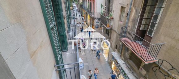 4 bedrooms Apartment in Ciutat Vella, Spain No. 156614 12