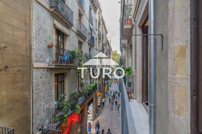 4 bedrooms Apartment in Ciutat Vella, Spain No. 156614