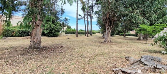 Studio in Calcatoggio, France No. 220596 10