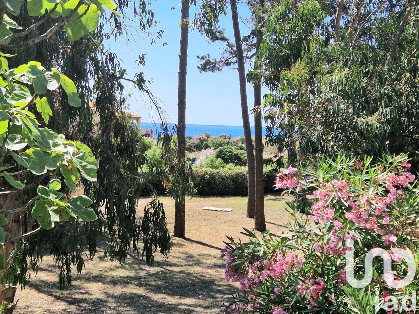 Studio in Calcatoggio, France No. 220596